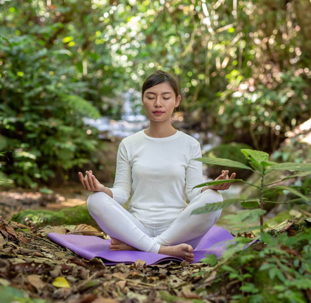 Meditações para praticar o estado de Presença, tipos de meditação, despertar da consciência